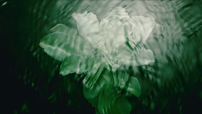 希思黎全能乳送菁纯眼霜5ml！入冬速囤麻将胡了试玩平台终于蹲到了！299元抢(图16)