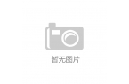 市场容量分析及发展前景预测报告2025P
